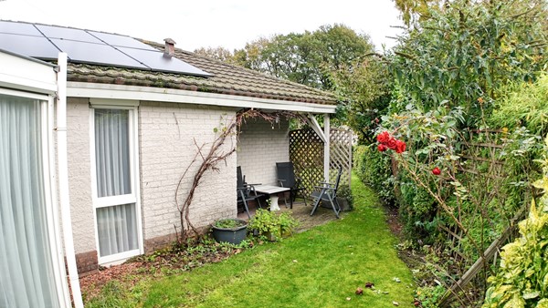 Gentenerf 11-34.19.jpeg